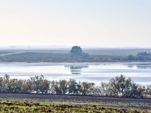 Área Endorreica – Lagunas