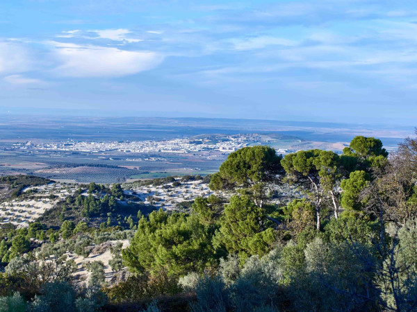 Vistas Panorámicas