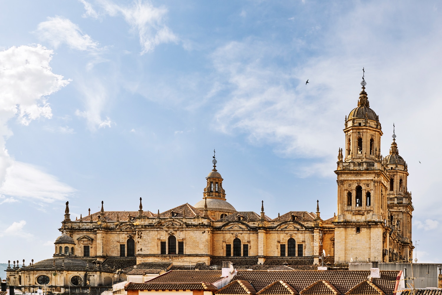 biblioteca condestable iranzo13