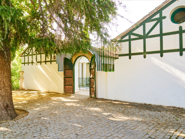 CASAS GEMELAS JARDINES JABALCUZ