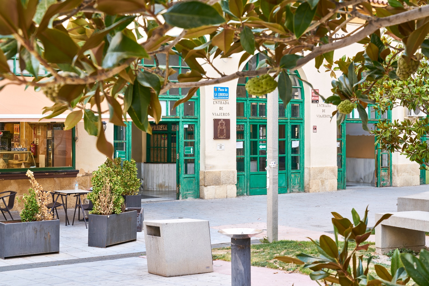 estacion de autobuses10