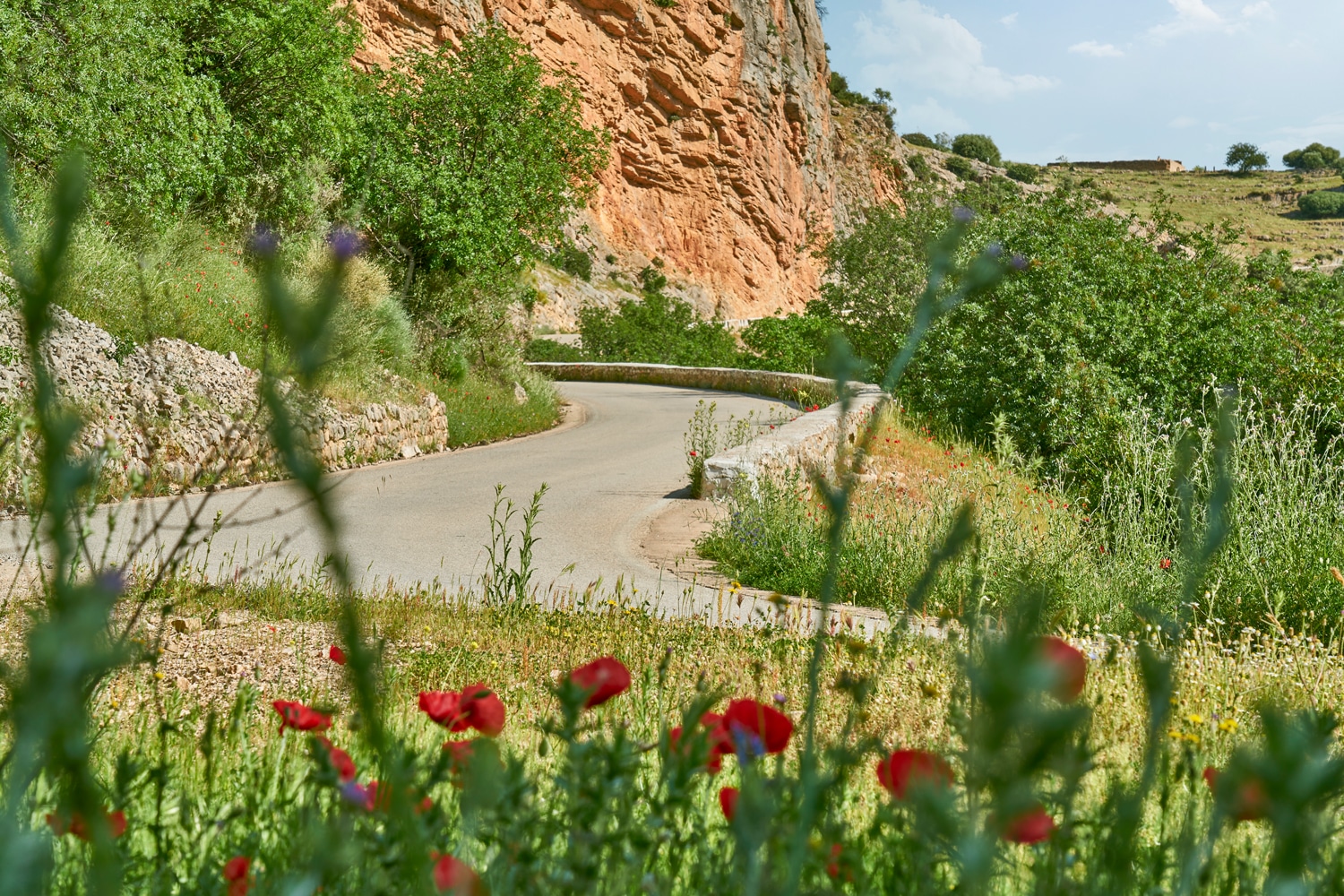 sierra sur otina pantano11