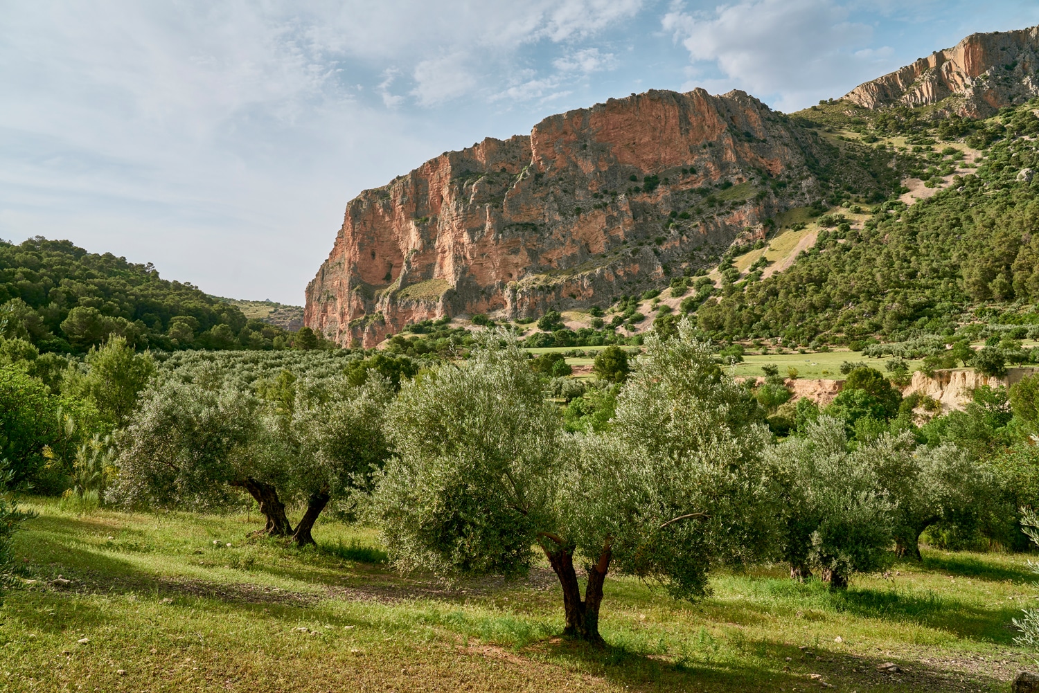sierra sur otina pantano34