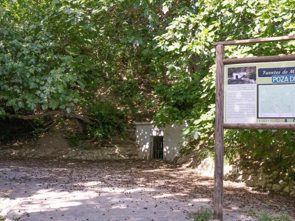 Poza Tintín