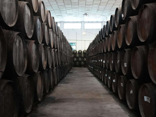 Bodegas Robles