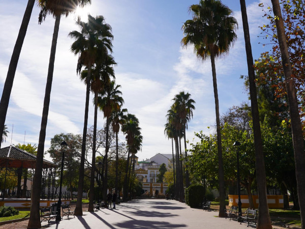 Paseo de Cervantes