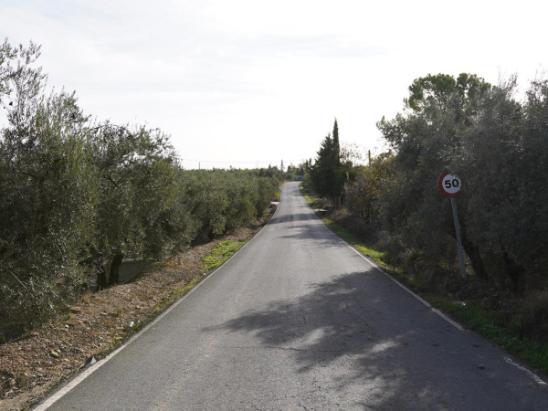 Carreteras Municipales
