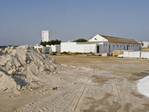 Salina San Vicente