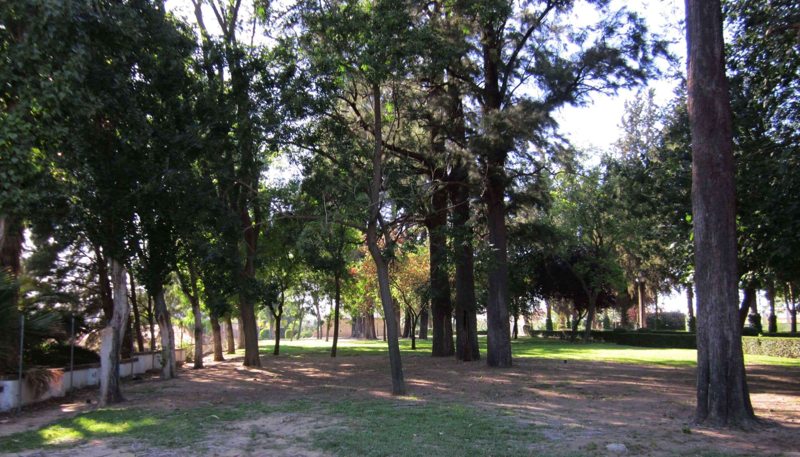 PARQUE BLAS INFANTE 6
