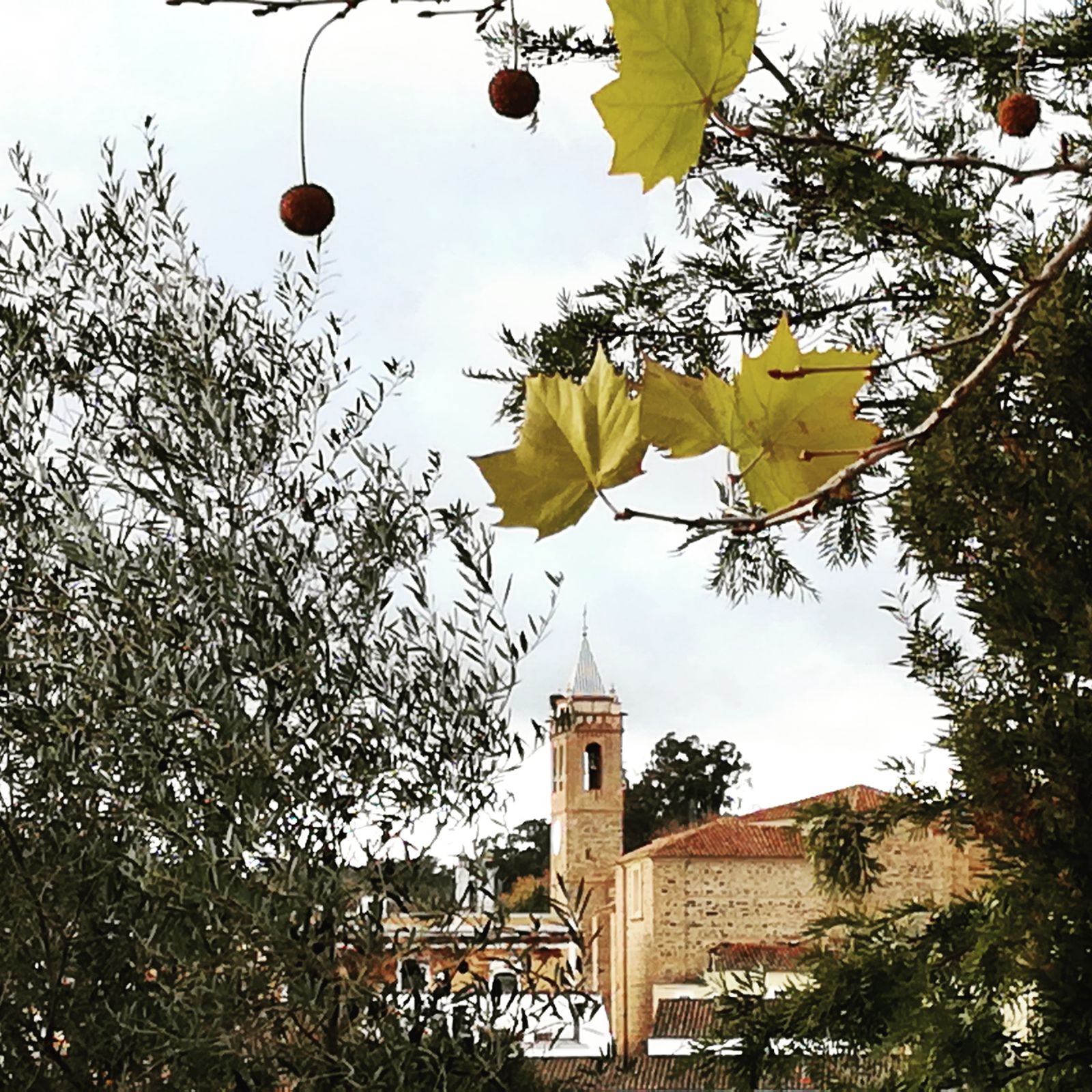 IGLESIA San Martin (1)
