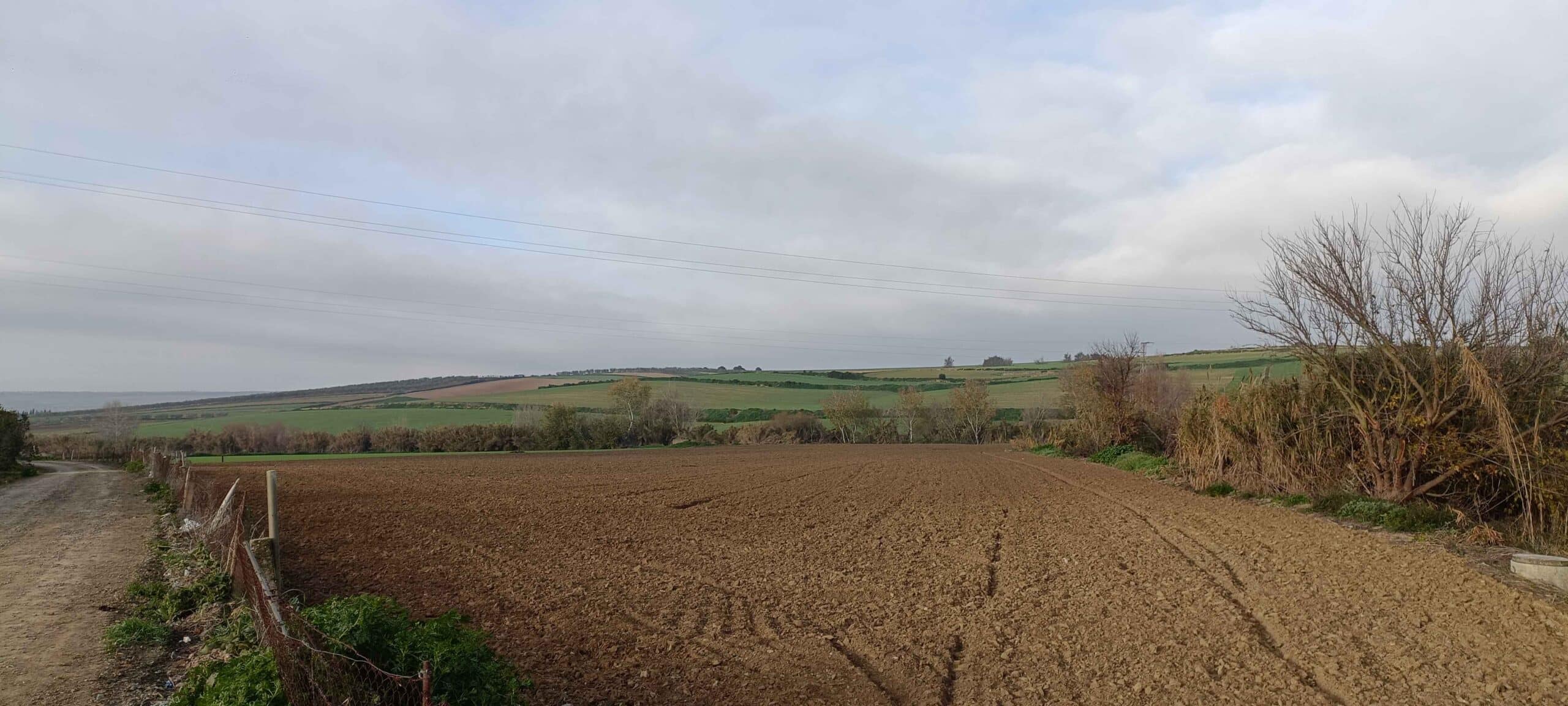 00001AVENIDA CIUDAD DE TEJADA