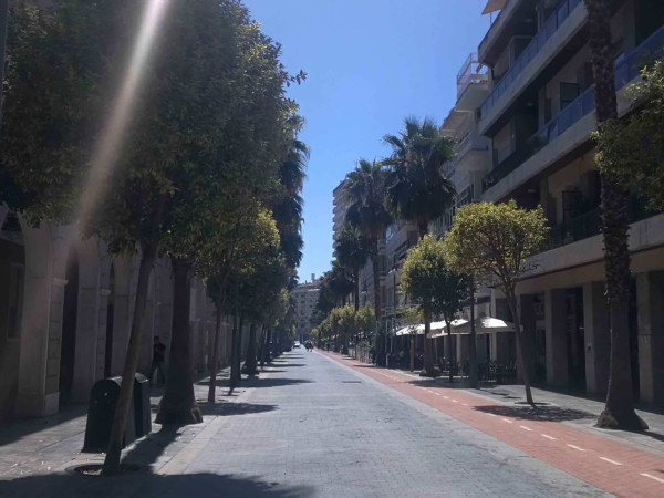 AVENIDA MARTÍN ALONSO PINZÓN