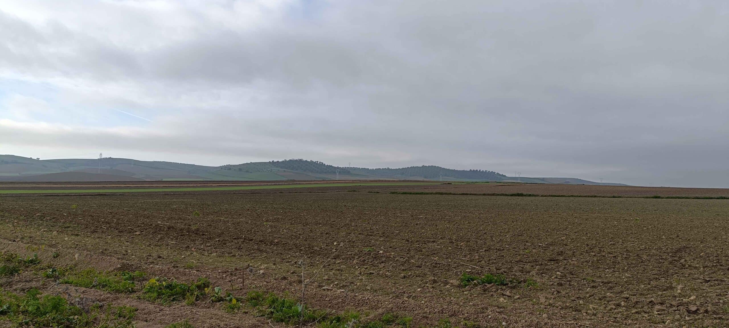 00001VEREDA DE CARNE DE NIEBLA