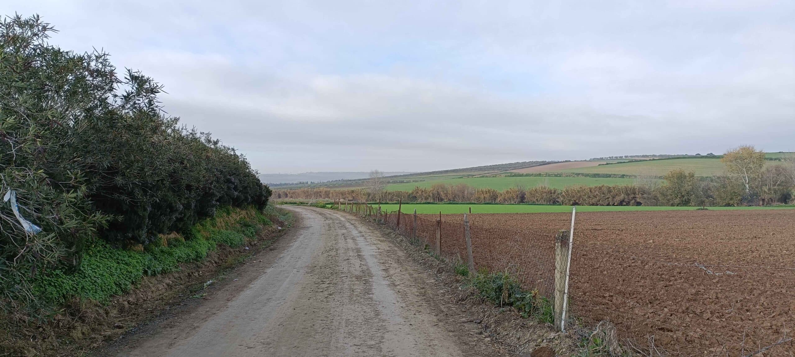 00002AVENIDA CIUDAD DE TEJADA