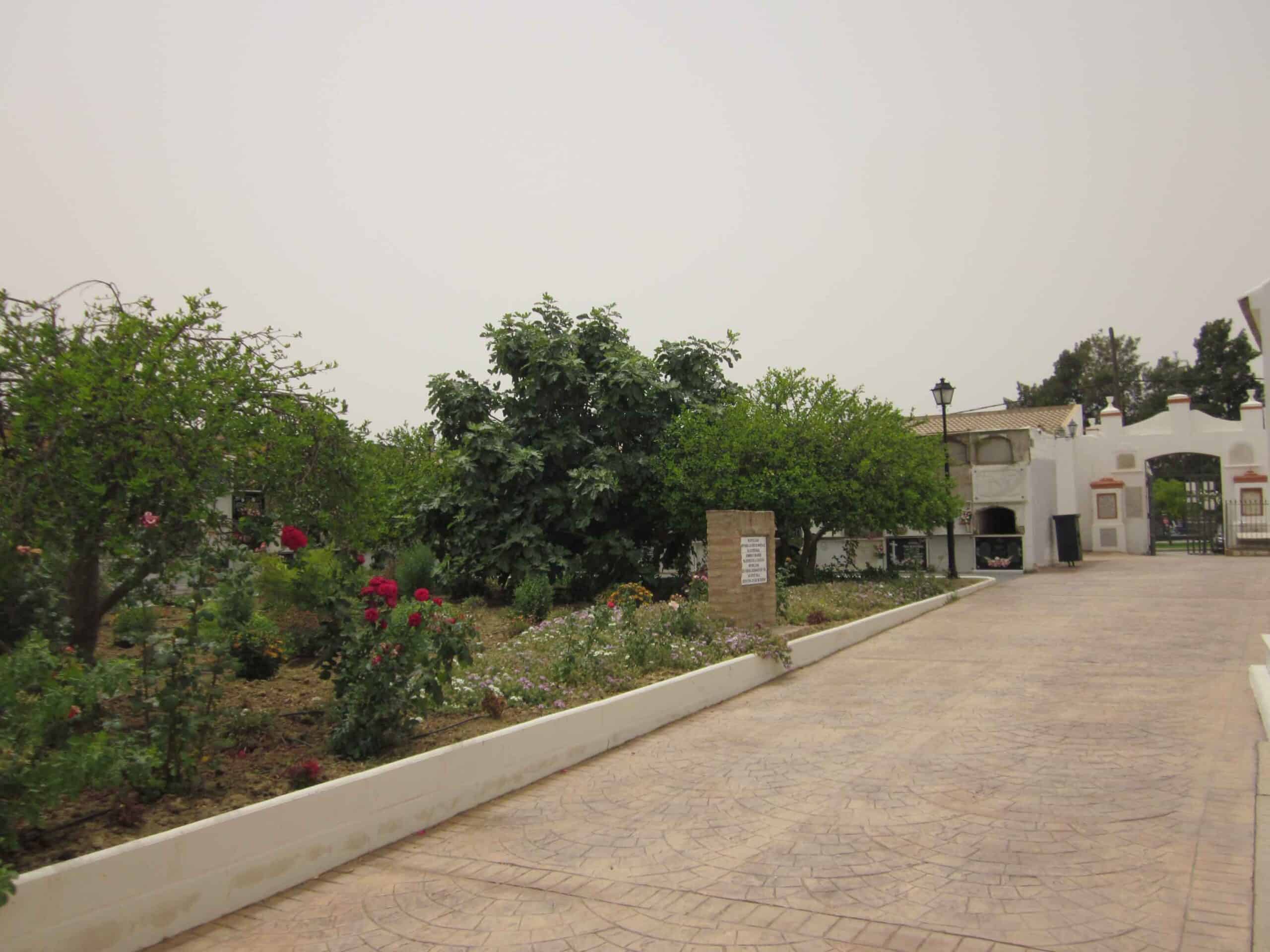 00003CEMENTERIO TRIGUEROS