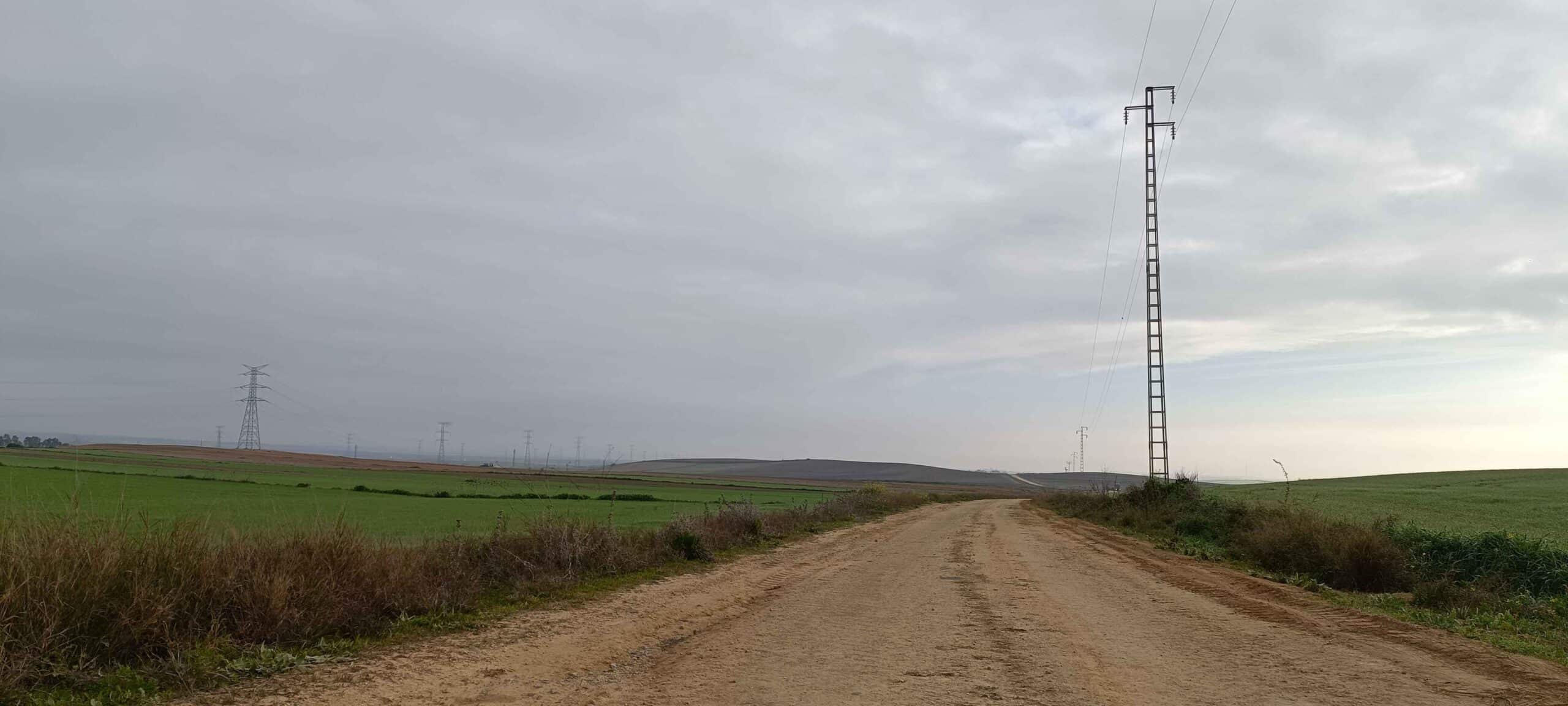 00003VEREDA DE CARNE DE NIEBLA