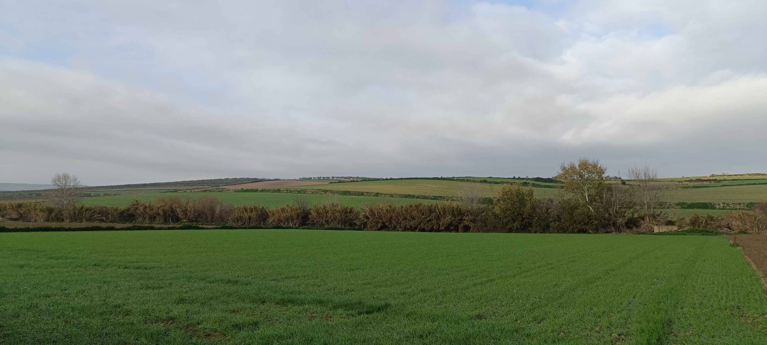 00004AVENIDA CIUDAD DE TEJADA