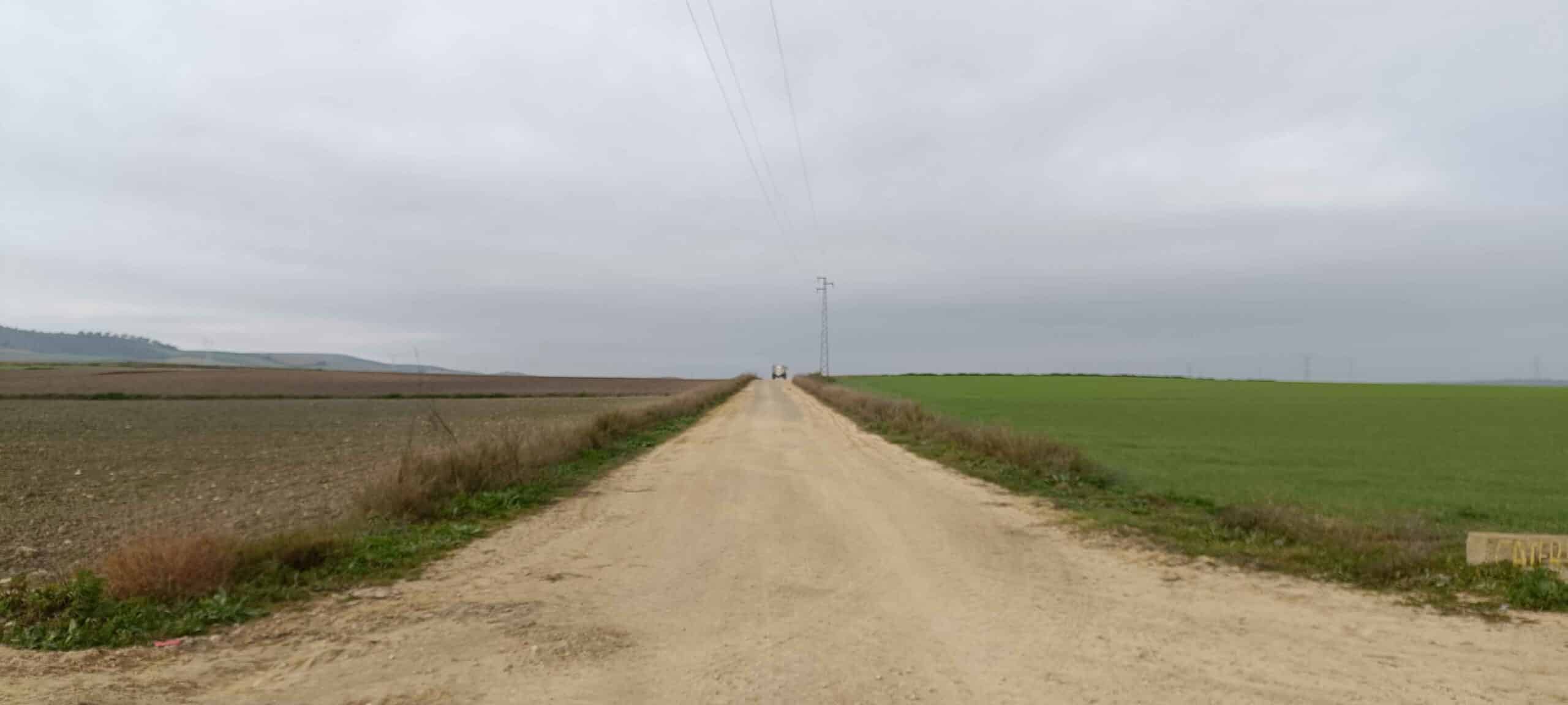 00004VEREDA DE CARNE DE NIEBLA