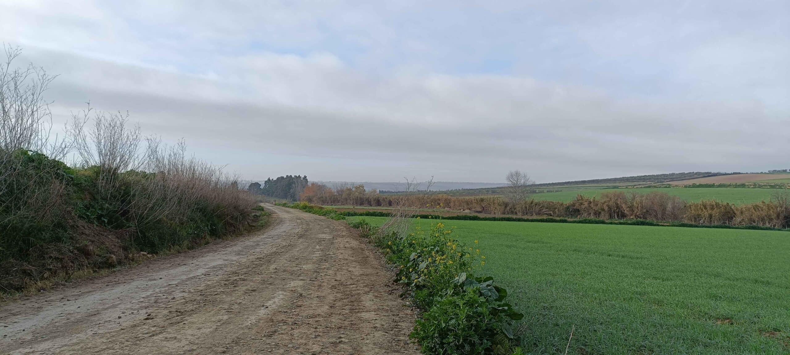 00005AVENIDA CIUDAD DE TEJADA