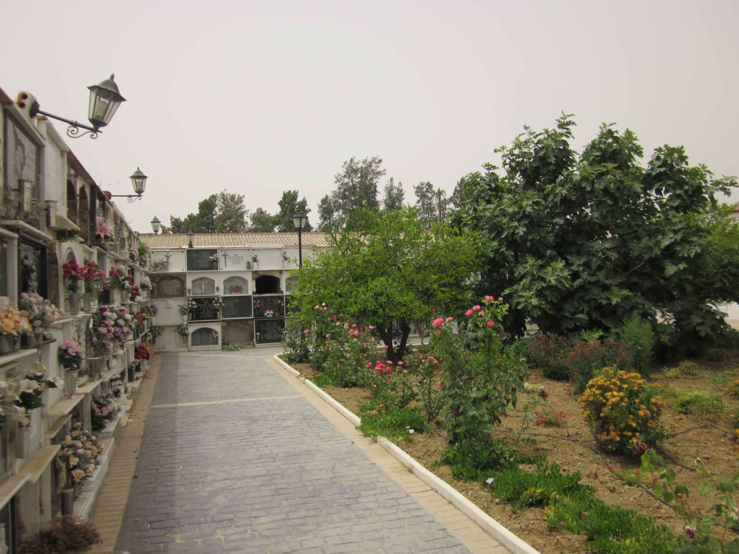 00005CEMENTERIO TRIGUEROS