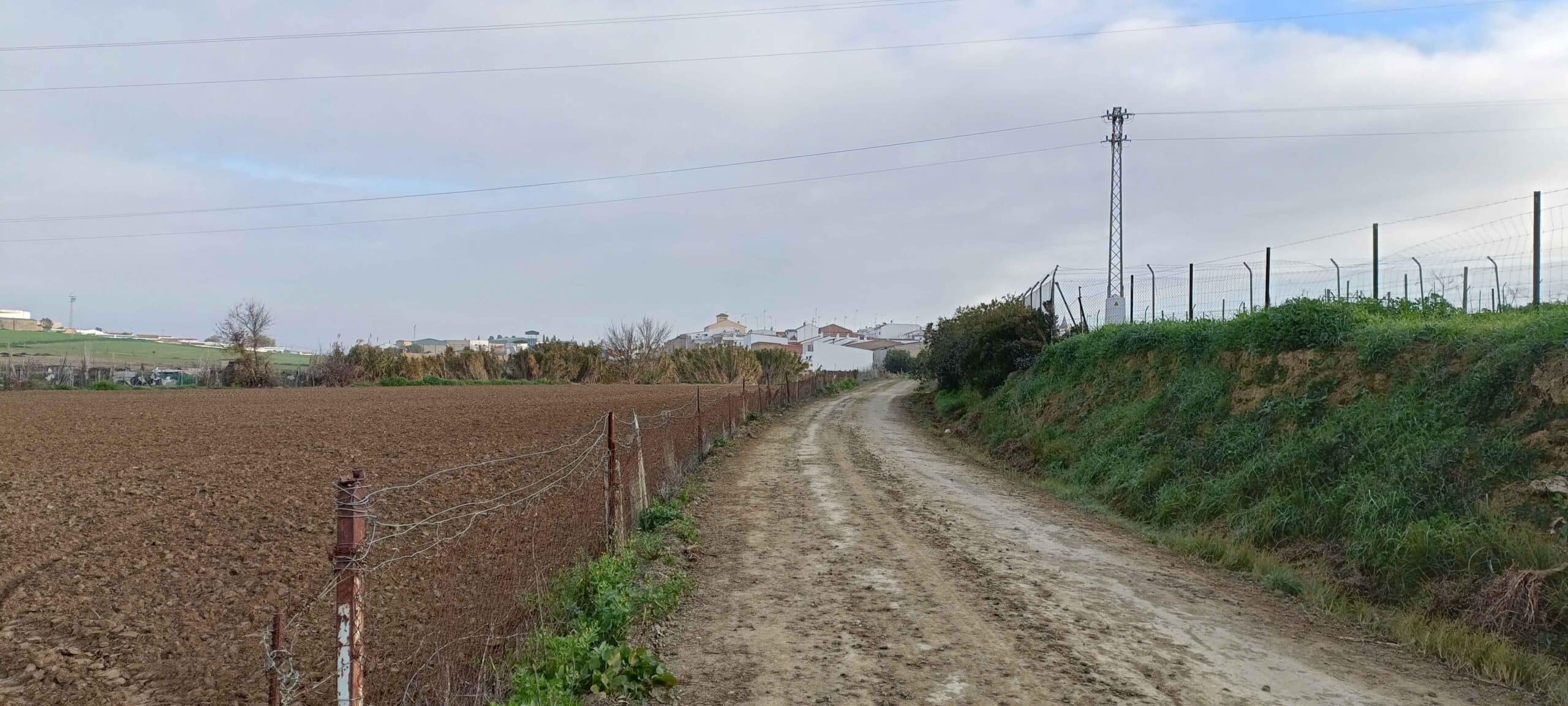 00006AVENIDA CIUDAD DE TEJADA