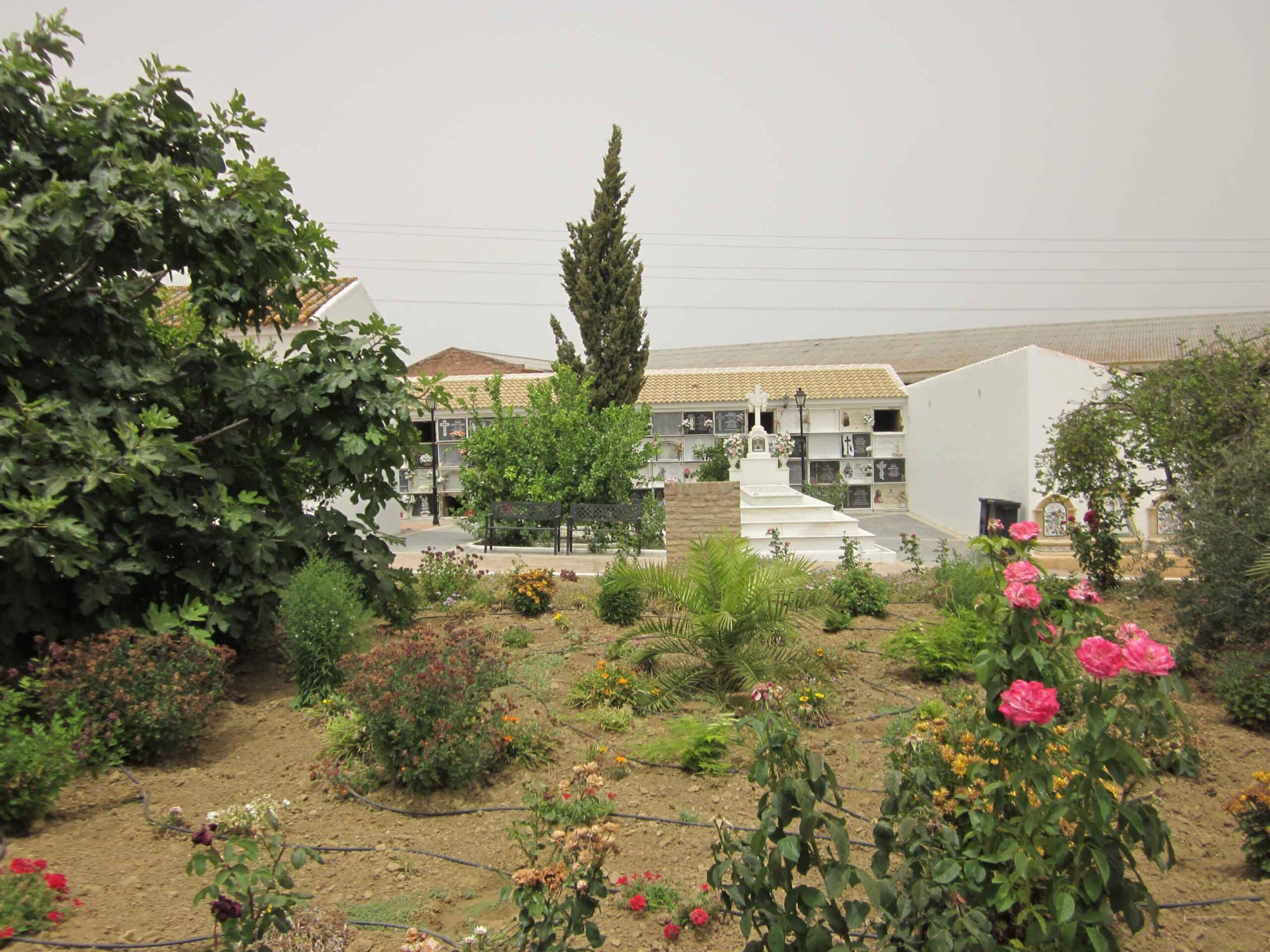 00006CEMENTERIO TRIGUEROS