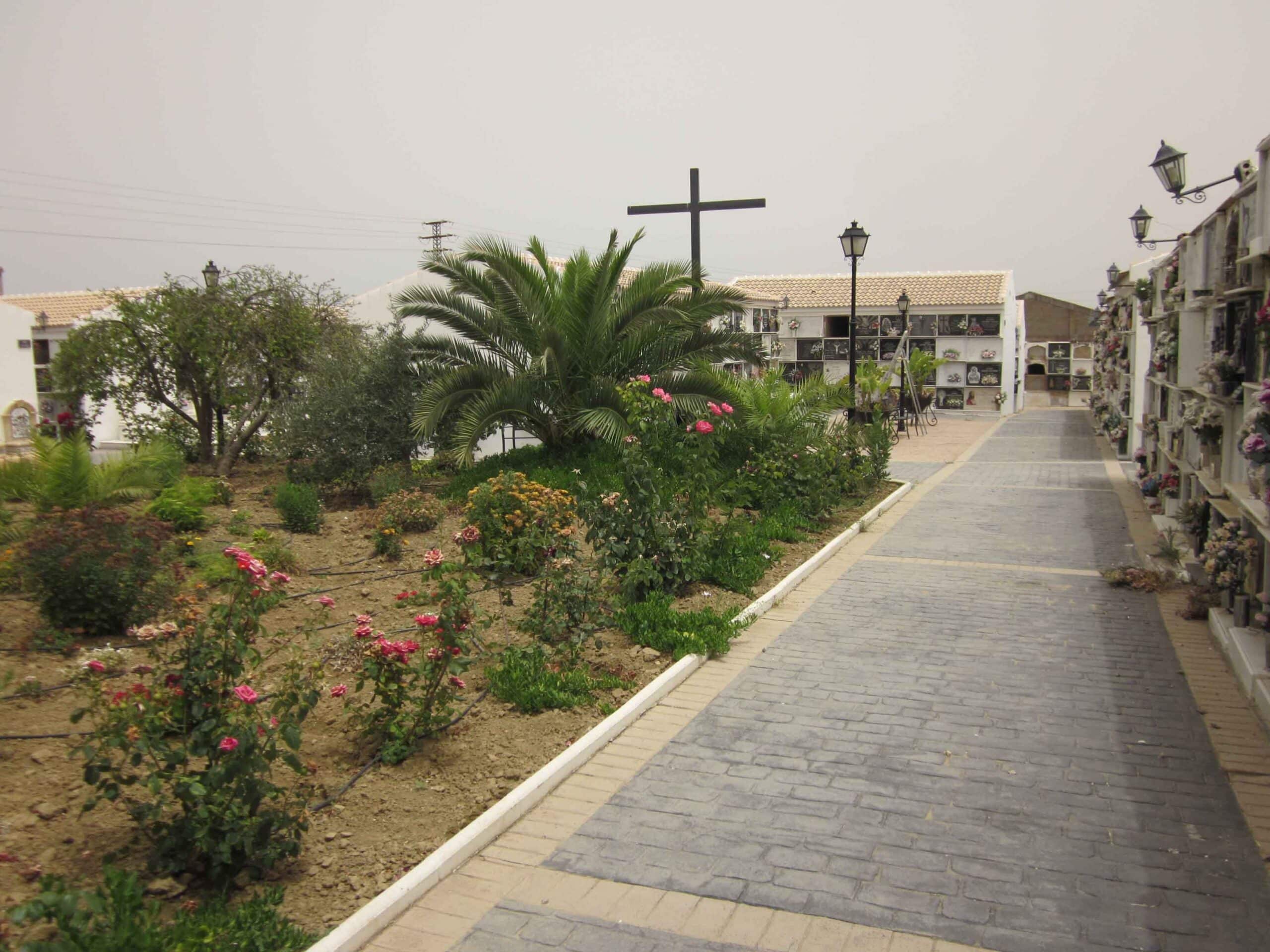 00007CEMENTERIO TRIGUEROS