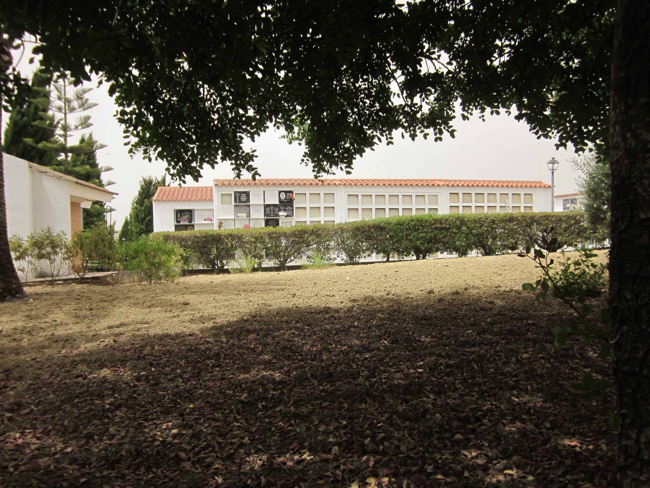 00008CEMENTERIO BONARES