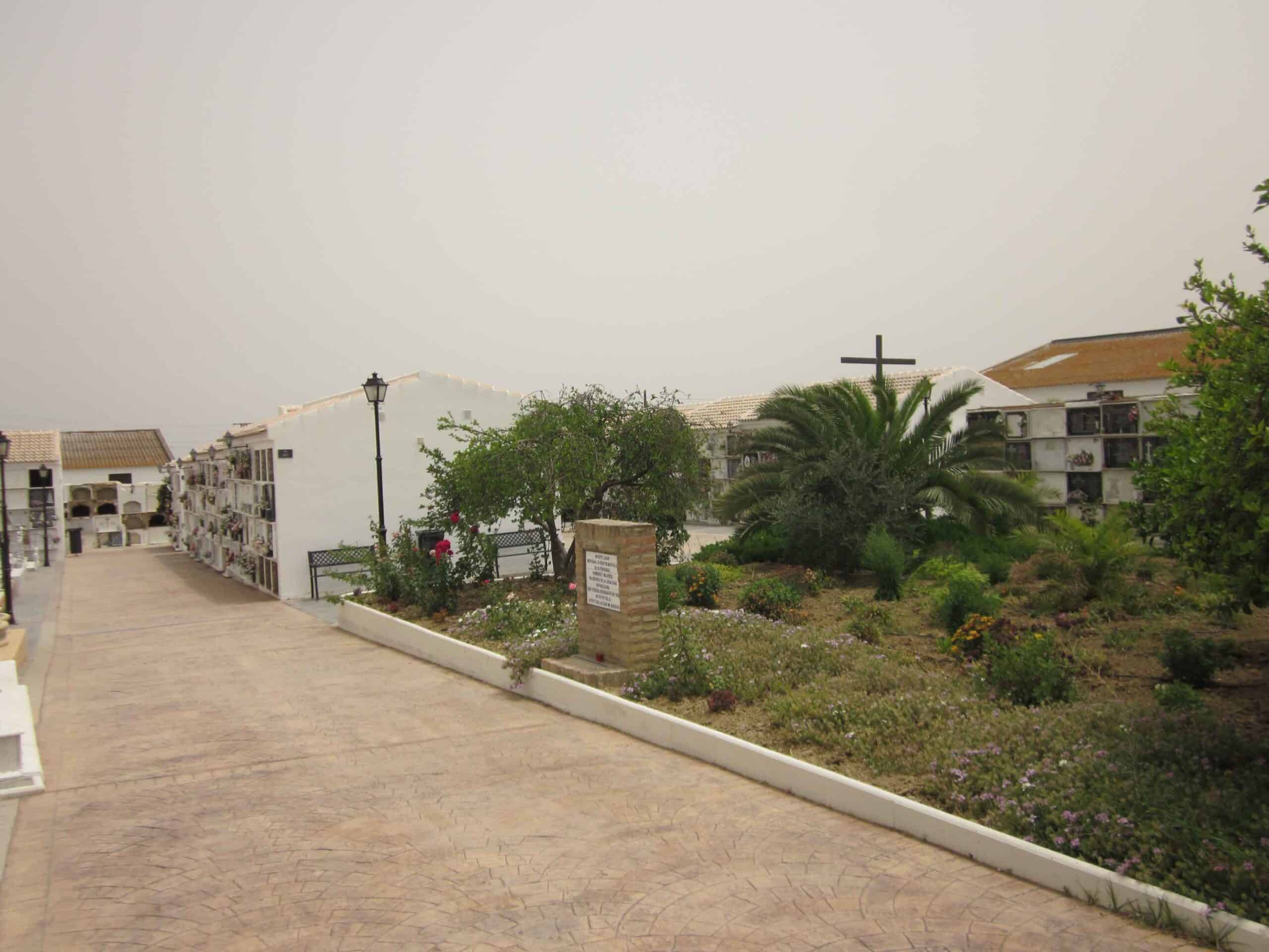 00008CEMENTERIO TRIGUEROS