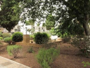 00010CEMENTERIO SAN JUAN DEL PUERTO