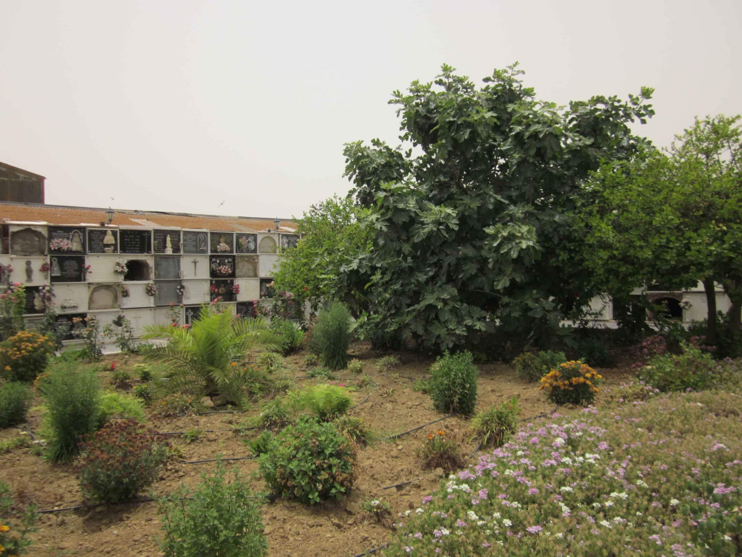 00010CEMENTERIO TRIGUEROS