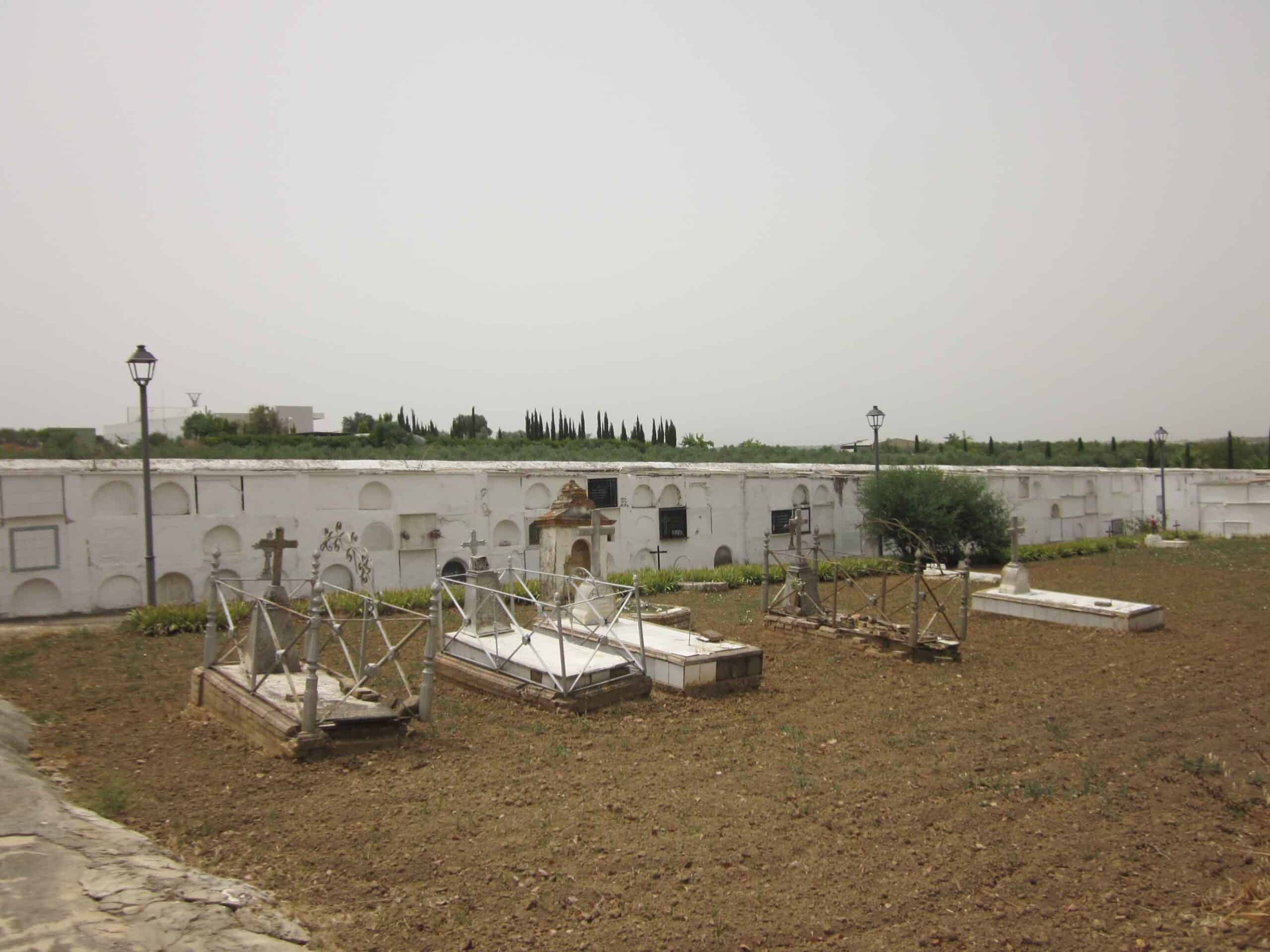 00015CEMENTERIO BONARES