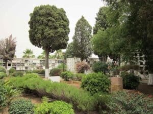 00015CEMENTERIO SAN JUAN DEL PUERTO