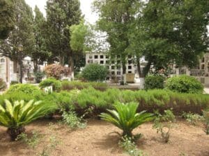 00016CEMENTERIO SAN JUAN DEL PUERTO