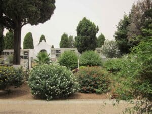 00021CEMENTERIO SAN JUAN DEL PUERTO