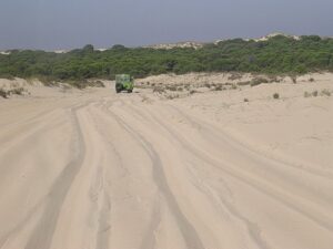 Dunas y Donana
