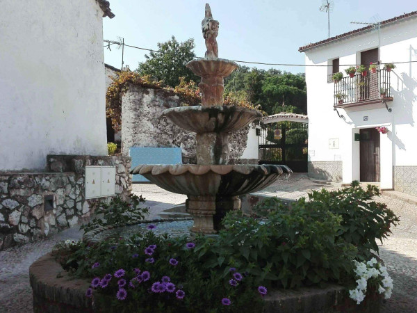 FUENTE, LOS MARINES