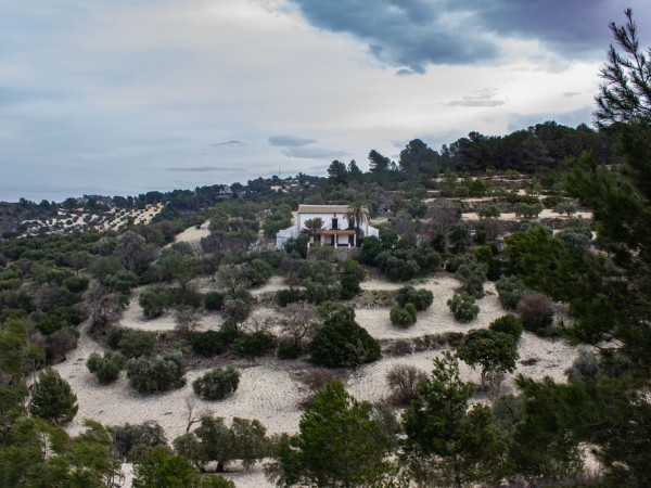 Las viñas