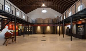 museo del vino almonte