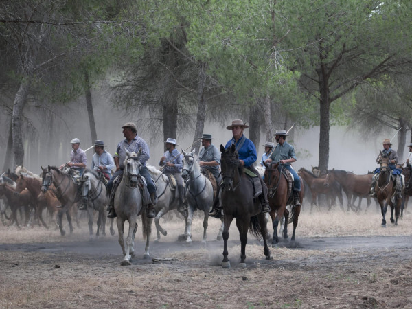 Saca de la Yenguas