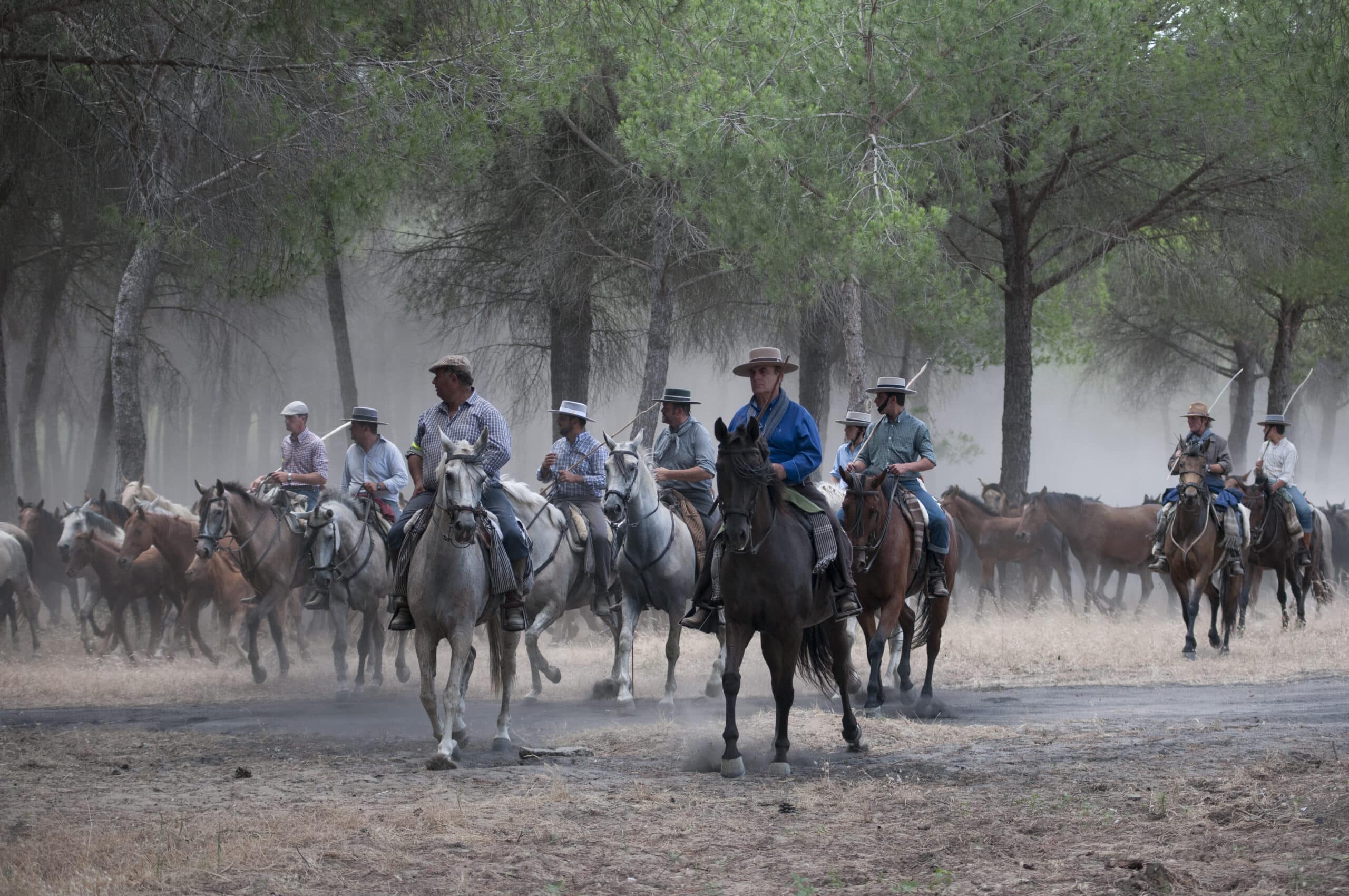 Se trasladan las yeguas de las marismas a Almonte para realizar la Feria de Ganado
