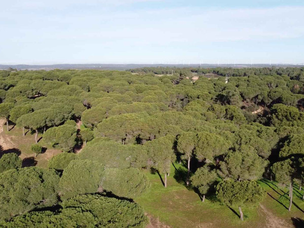 PINARES VILLABLANCA