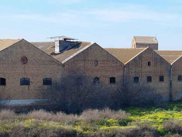BODEGA ABANDONADA LAZO