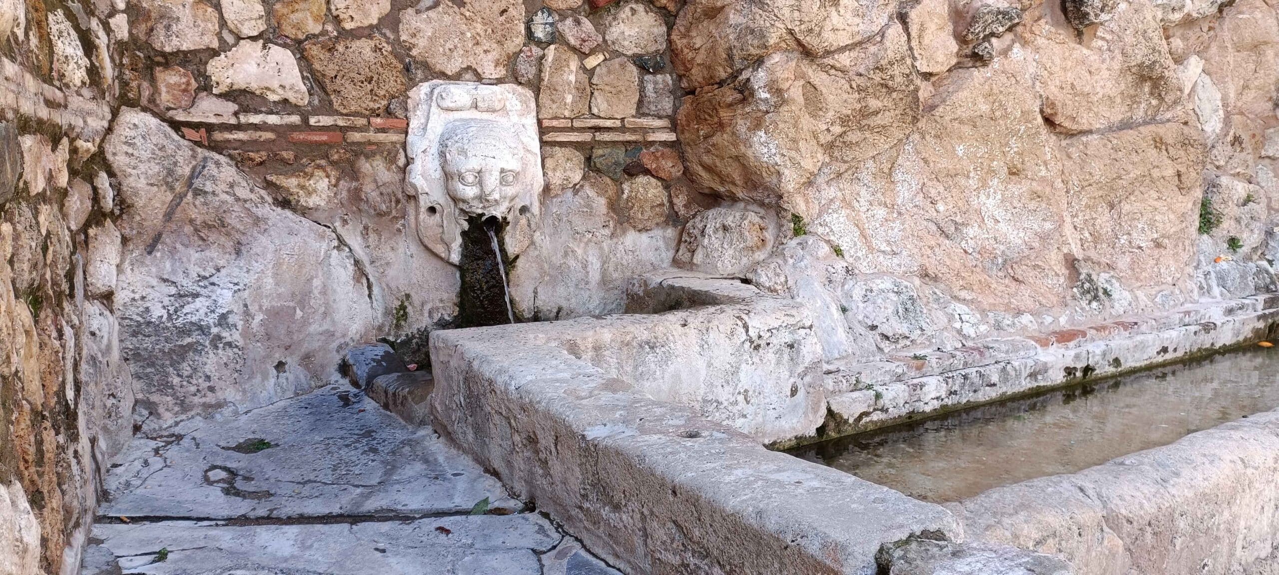 00003PILAR DEL CONCEJO