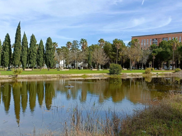 PARQUE ALCALDE JUAN CEADA INFANTES