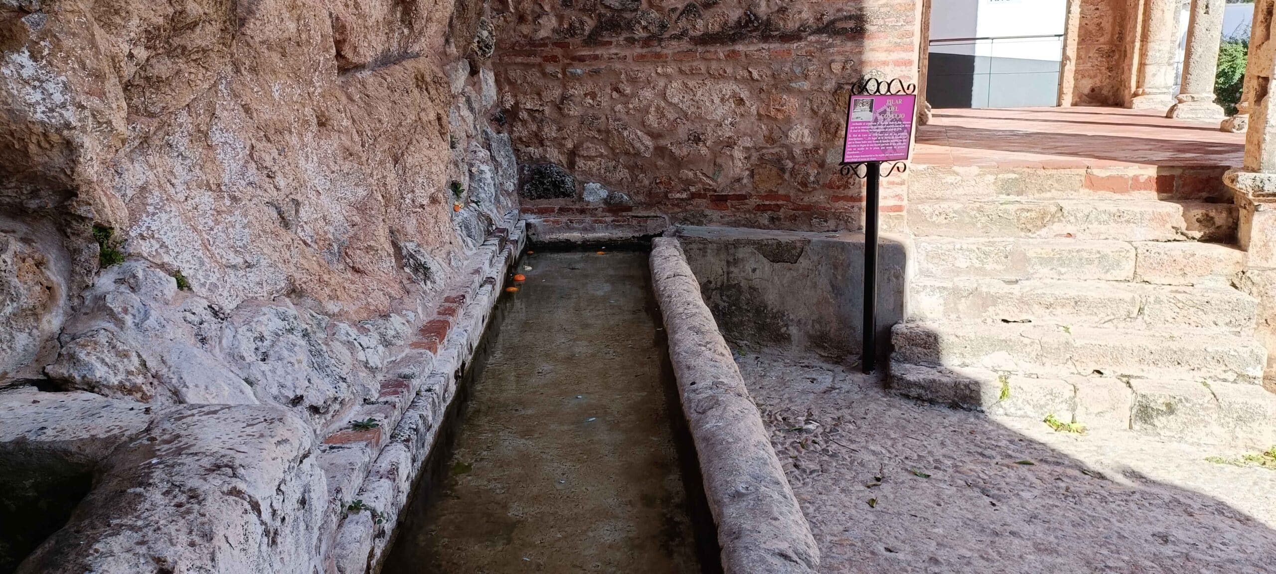 00004PILAR DEL CONCEJO