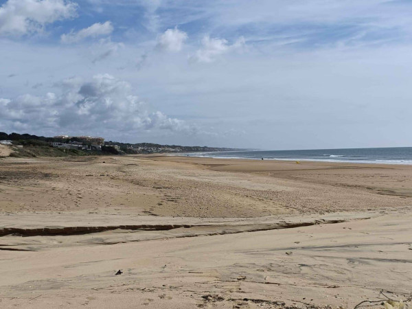 PLAYA DEL PICACHO