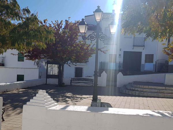 CALLE NUEVA