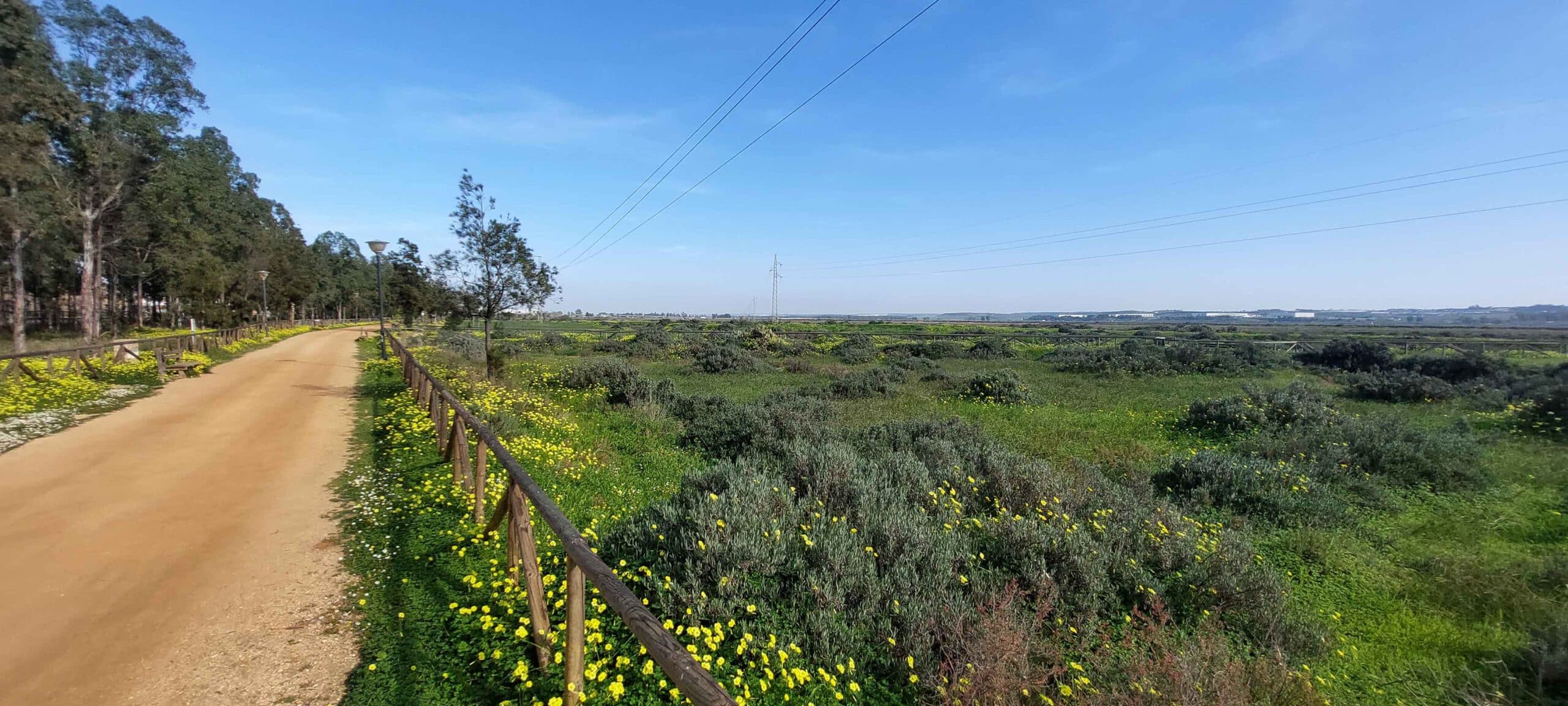 SENDERO SAN JUAN DEL. PUERTO