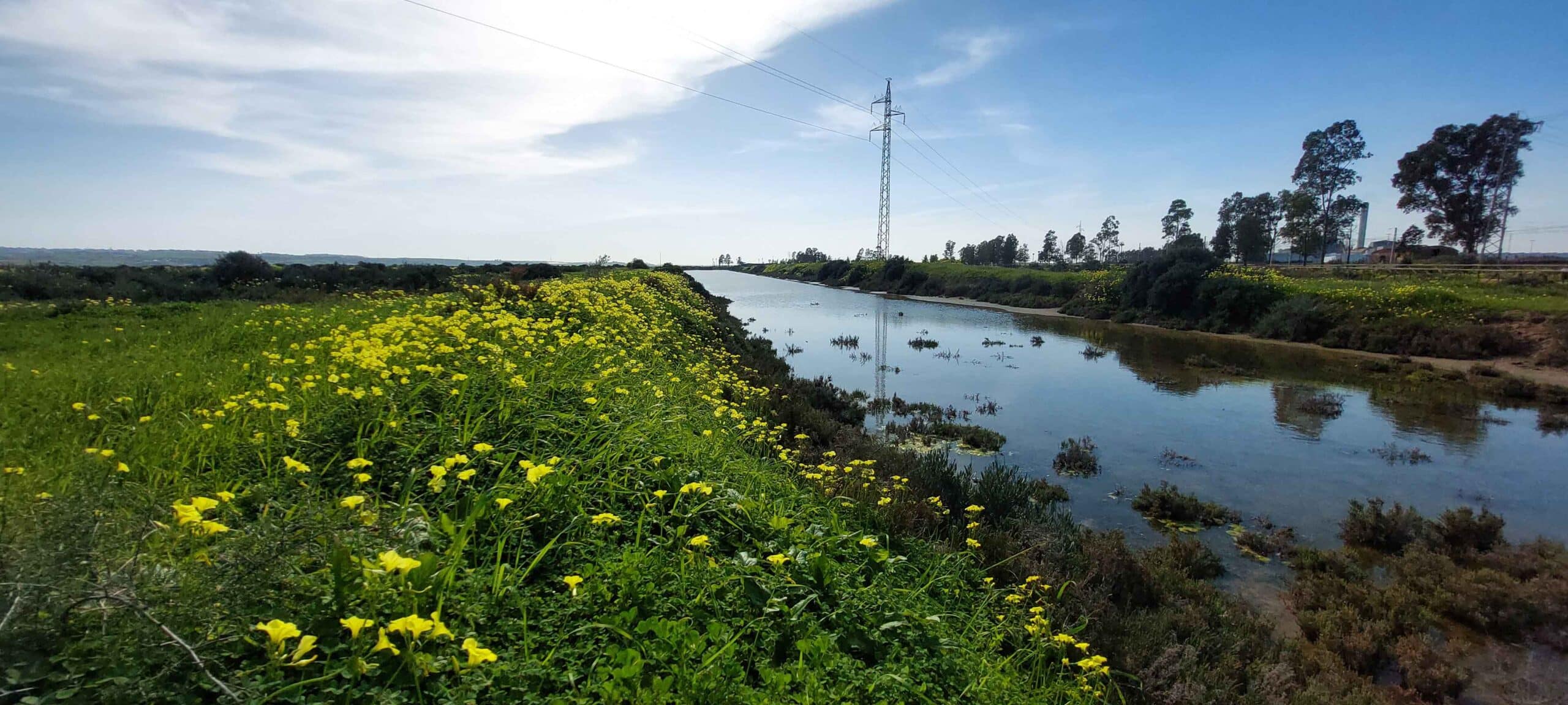 SENDERO SAN JUAN DEL. PUERTO